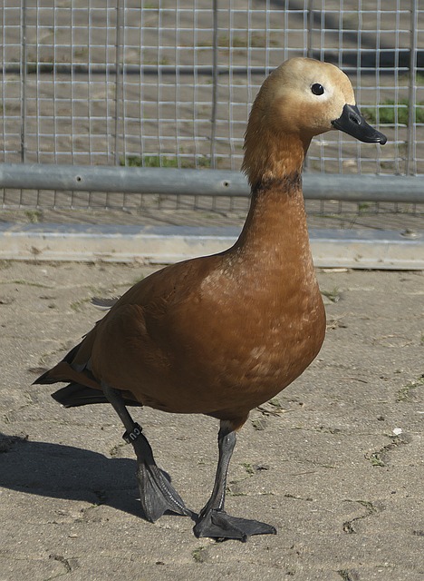 一次更